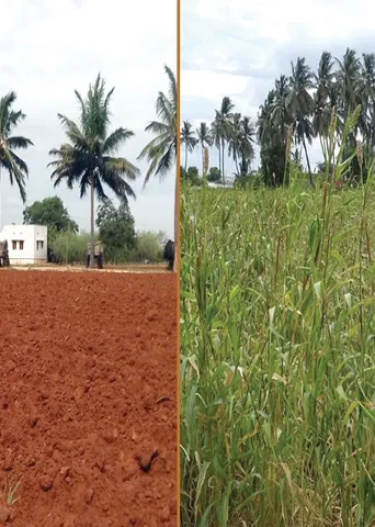 10 கோடி போதும்! 50 கோடிக்கு காண்ட்ராக்ட்! -சுருட்டும் எடப்பாடி சொந்தம்!