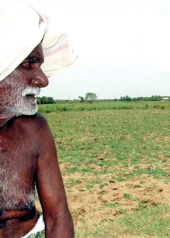 ஆதரவு விலை விவசாயிக்கு ஆதாயமா? ஒரு மோ(ச)டி அறிவிப்பு!