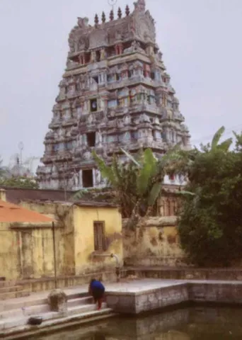 ஆல்போல் தழைத்தருள் வழங்கும் ஆலங்காட்டீசர்!