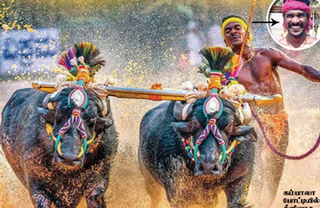 மாவலி பதில்கள்