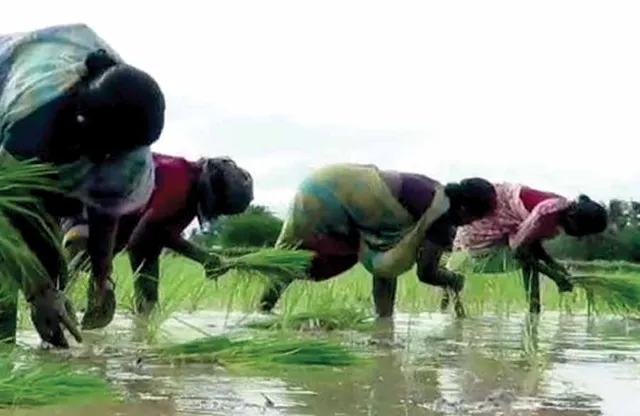 வேளாண் மண்டலம் சாத்தியமா? -ஒரு அலசல் ரிப்போர்ட்