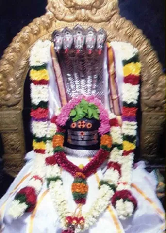 தீராத நோய் தீர்த்தருளும் சூலூர் வைத்தியநாதசுவாமி! -கோவை ஆறுமுகம்