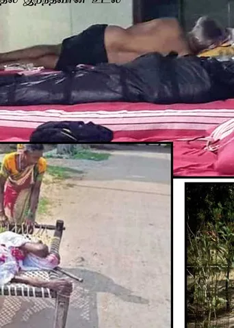 மாவலி பதில்கள்