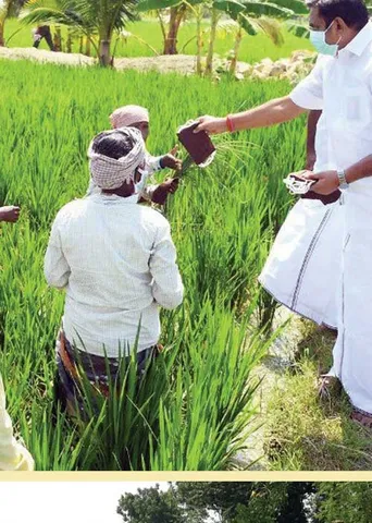 'ஜெ'டப்பாடி!