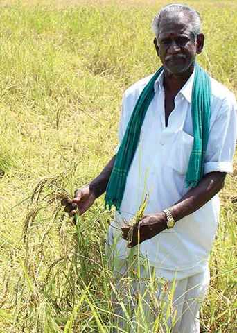 பிரதமர் திட்டத்தில் விவசாயிகள் வயிற்றிலடிக்கும் வேளாண்துறை!