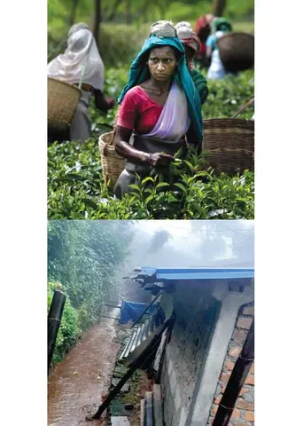 முதலமைச்சர் எடப்பாடிக்கு... ஒரு தேநீர் நேரக் கடிதம்!