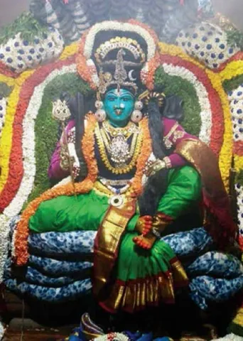 12 லக்னத்தினருக்கும் காலசர்ப்ப தோஷ நிவர்த்திப் பரிகாரங்கள்! - பிரசன்ன ஜோதிடர் ஐ. ஆனந்தி