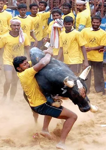 தேர்தல் ஜல்லிக்கட்டு! இ.பி.எஸ்.லி ஓ.பி.எஸ். பம்மாத்து