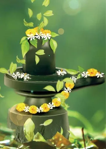 27 நட்சத்திர சிறப்பம்சங்கள்! - (6)