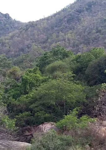 அண்டத்தில் உள்ளதே பிண்டத்திலும்! - அடிகளார் மு.அருளானந்தம் 31