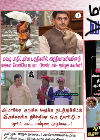 வலைவீச்சு