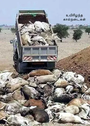 மாநிலம் தேசியம் சர்வதேசியம்!