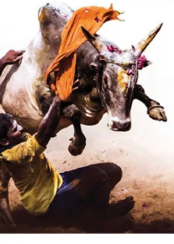 ஜல்லிக்கட்டில் தலைதூக்கும் ஜாதிய அரசியல்! -பின்னணியில் பா.ஜ.க.?