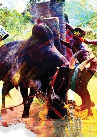 திமில்! அடங்காத காளைகளின் ஆடுகளம்! -ல.ராஜ்குமார்  (4) 