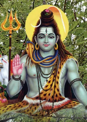 சகல ஐஸ்வர்யங்களும் தரும் கருங்கா- விருட்ச வழிபாடு! -பொ. பாலாஜிகணேஷ்