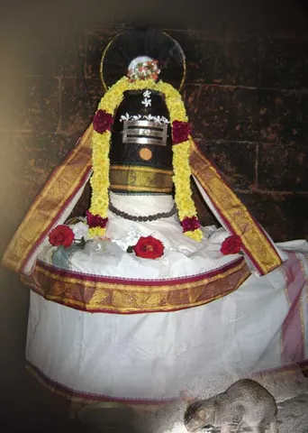 பூனை பூஜத்த புனிதன்! பழங்காமூர் மோ. கணேஷ்