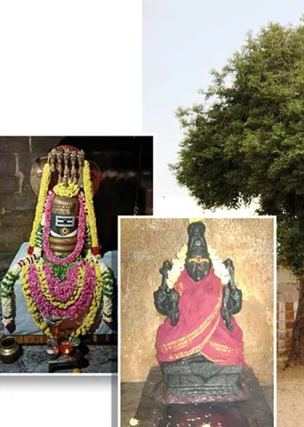 ஸ்ரீ சக்கரத்துடன் அருள்புரியும் காமக்கூர் ஆதிகாமாட்சி! -பழங்காமூர் மோ. கணேஷ்