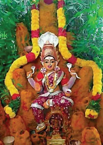 மீன லக்னத்திற்கு 12 பாவங்களில் செவ்வாய்!