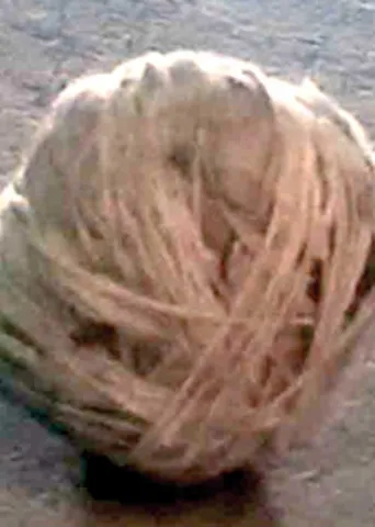 நிருபர் மீது வெடிகுண்டு வீச்சு!