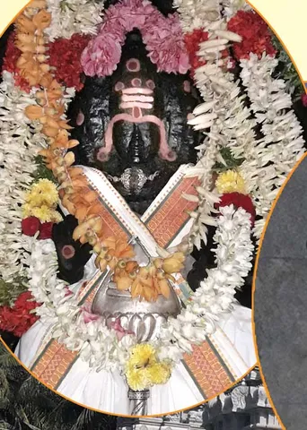செய்வினைகள் போக்கும் செந்தில்நாதன்! - மோ.கணேஷ்