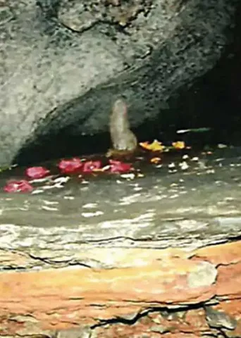 நலம் தரும் திருத்தலம்! விசு அய்யர் 29