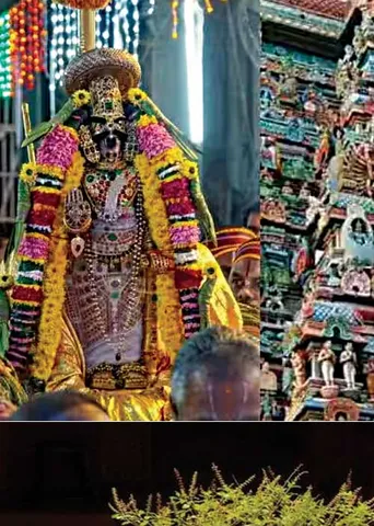 புற்றிலிருந்து வெளிப்பட்ட பெருமாள்!