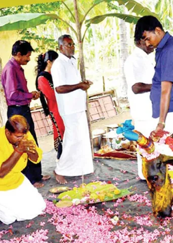 மாவலி பதில்கள்!