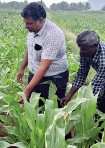 நக்கீரன் செய்தி எதிரொலி! நடவடிக்கை எடுத்த வேளாண்துறை அதிகாரிகள்!