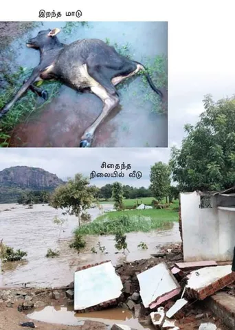 புயல் நிவாரணம்... பரிதவிக்கவிடும் அதிகாரிகள் - கொந்தளிப்பில் வடமாவட்ட மக்கள்!