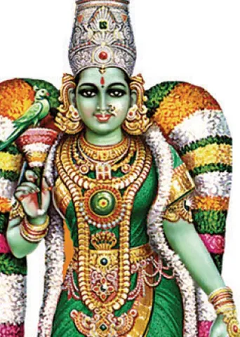 27 நட்சத்திரத்திற்கும் தாராபலன் பெருக்கும் பரிகாரங்கள்! -பிரசன்ன ஜோதிடர் ஐ. ஆனந்தி சென்ற இதழ் தொடர்ச்சி (14.02.25)