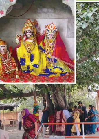 ராதைக்கு கிருஷ்ணன் வைத்த செந்தூரம்! - மதுரா பாண்டீர்வன் ஆலய வரலாறு