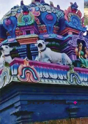 பேரின்ப வாழ்வைத் தந்தருளும் திருப்பந்துறை ஸ்ரீ சிவானந்தேஸ்வரர்! - கோவை ஆறுமுகம்