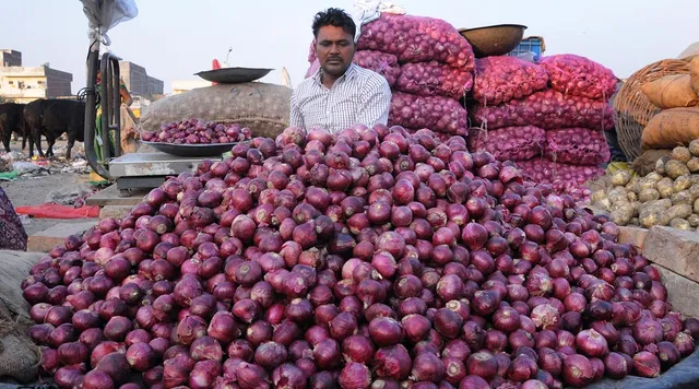 Onion