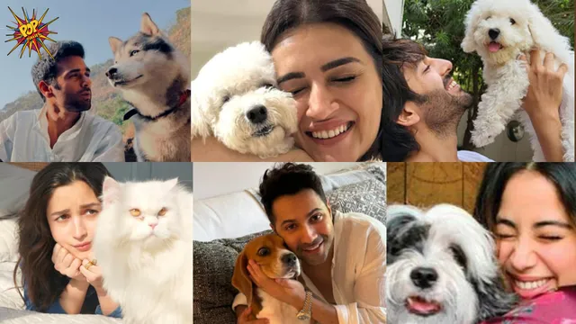 Bollywood Celebrities 