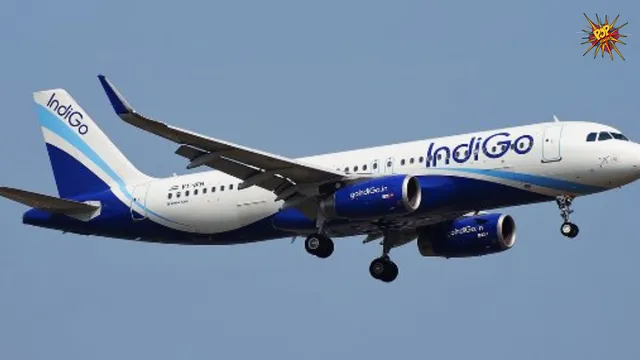 infigo