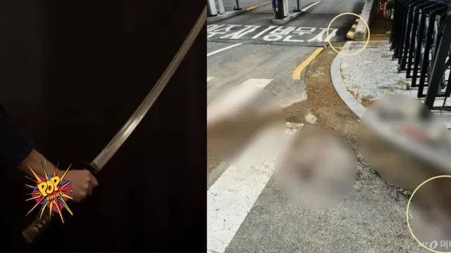 South Korean Man Arrested for Murder with Samurai Sword in Seoul