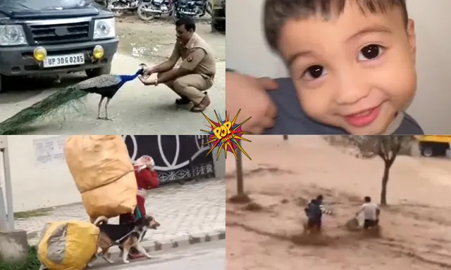 viral videos.png