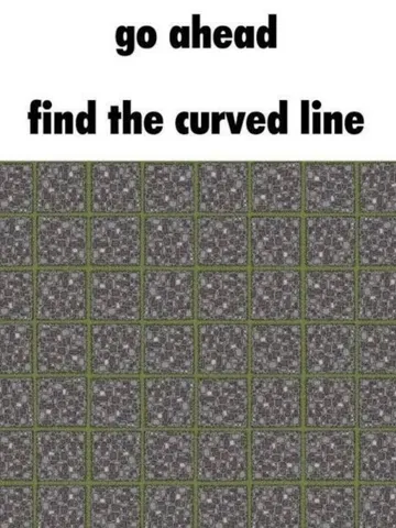 No 1 Optical Illusion Has Made People Crazy On The Internet , Find Curve Challenge :