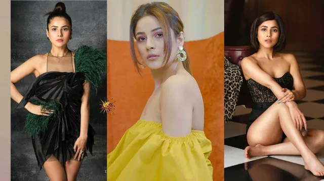 HBD Shehnaaz Gill: From Punjab Ki Katrina To India Ki Bubbly, Beautiful Shehnaaz! Know The Best Moments Of Her Journey An Inspiration: