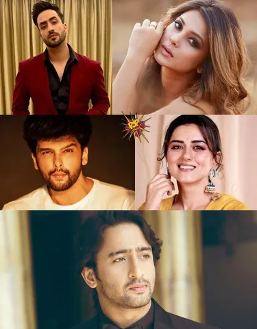 Television celebs won the hearts for their behavior towards their exes