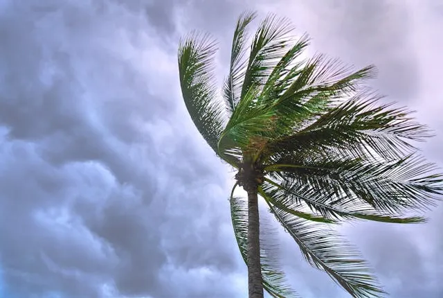 Monuments in Odisha to remain closed due to impending Cyclone Dana