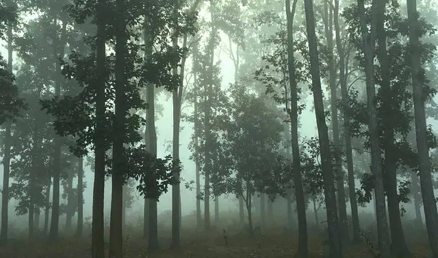 Cold wave in Odisha: Rourkela coldest at 6.6°C, temp likely to rise after 2-3 days