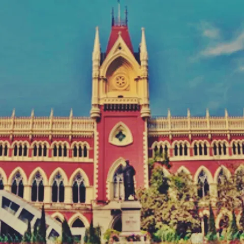 RG Kar case: Calcutta HC asks CBI to clarify 'rape or gang-rape', seeks diary