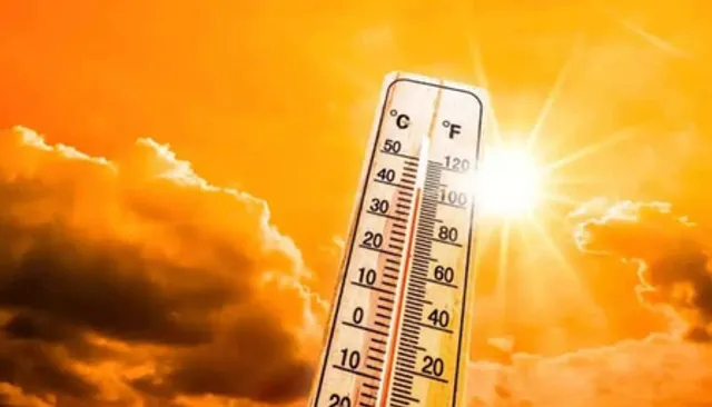Heat-related deaths rose by 63 pc since 1990s, claiming 546,000 lives yearly: The Lancet