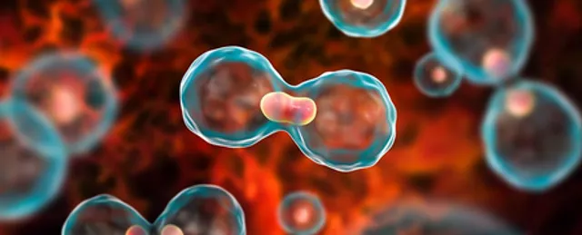 Scientists create novel method to identify healthy and cancerous cells