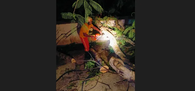 TPNODL's proactive response to ‘Kalbaisakhi’ ensures minimal power disruption