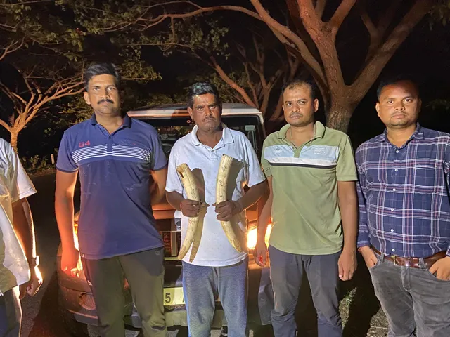 STF seizes elephant tusks worth ₹50 lakh in Boudh, one arrested
