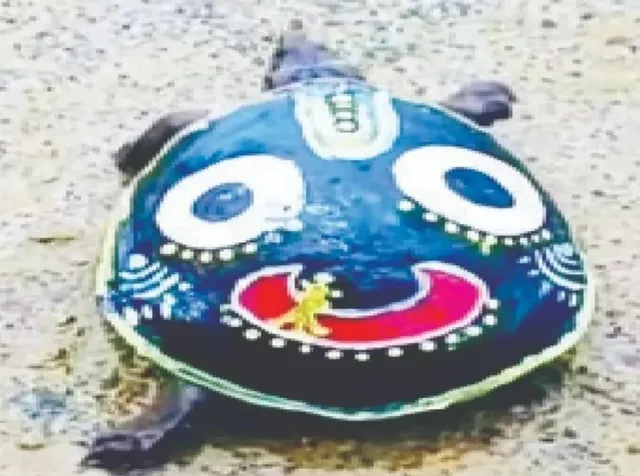 Two arrested in Odisha for painting Lord Jagannath on turtle shell