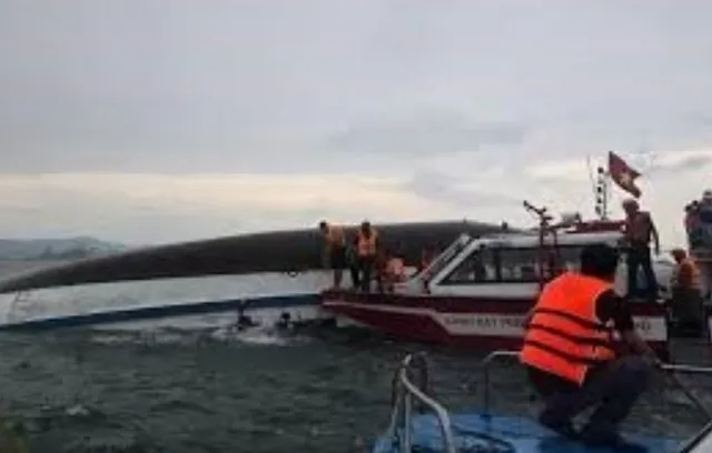 Death toll rises to 37 after cruise ship capsizes in Vietnam’s Ha Long Bay