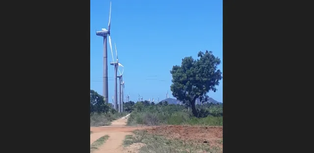 India’s wind energy capacity rises to 51.67 GW